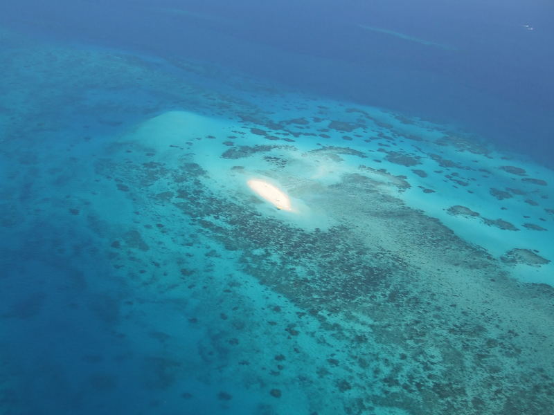 An Aerial View on the Reef