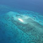 An Aerial View on the Reef