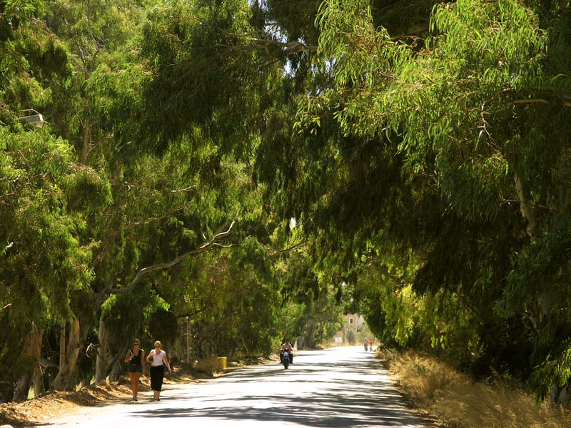 An Alley on Kos Island