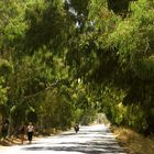 An Alley on Kos Island