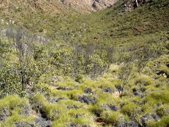 An ancient valley...