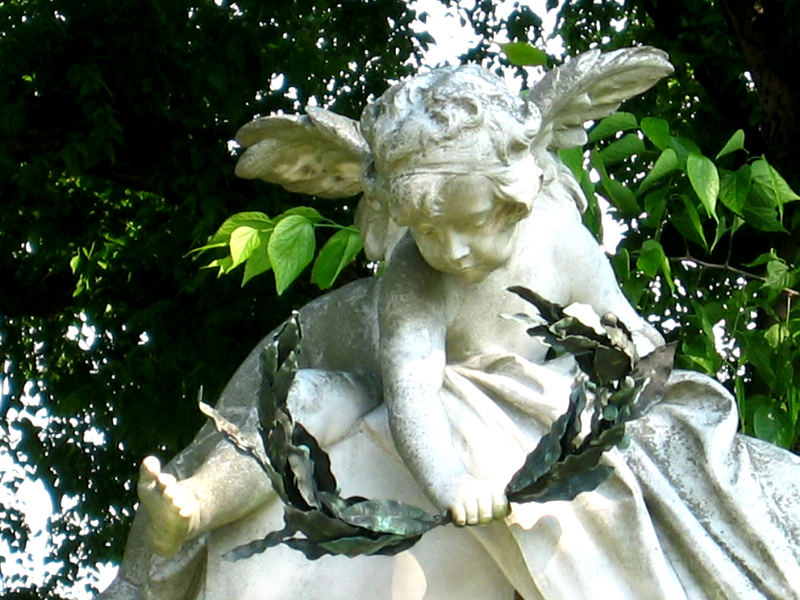 An Angel in Vienna