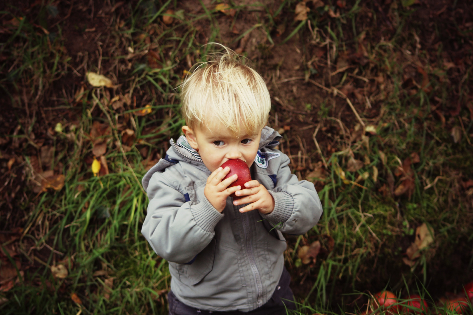 An apple a day...