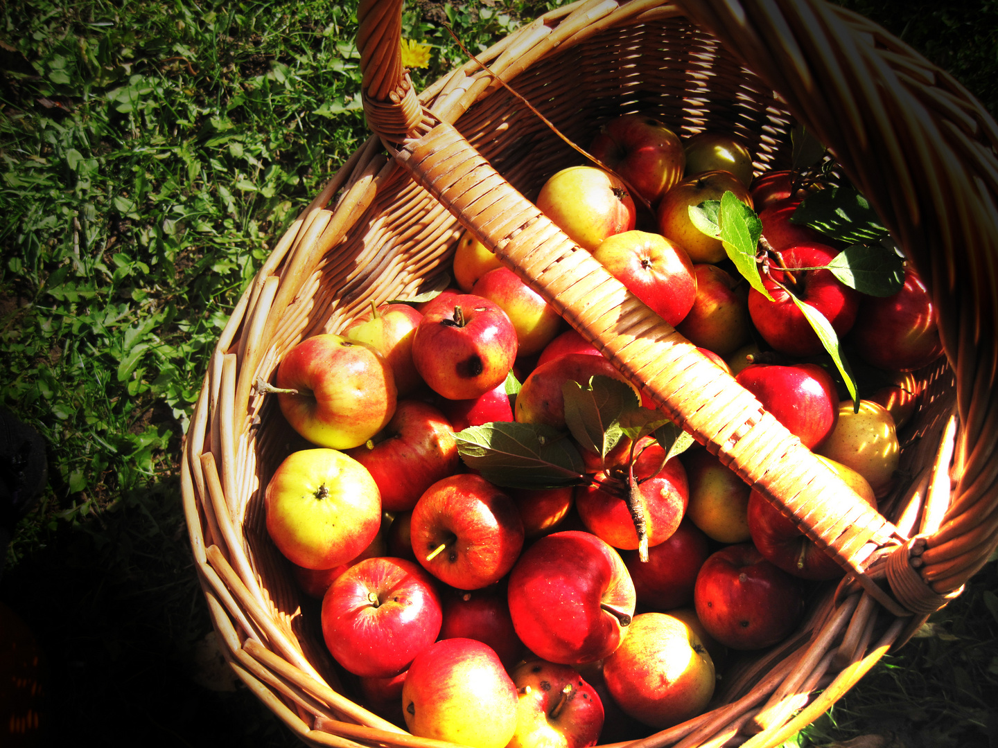 an apple a day!