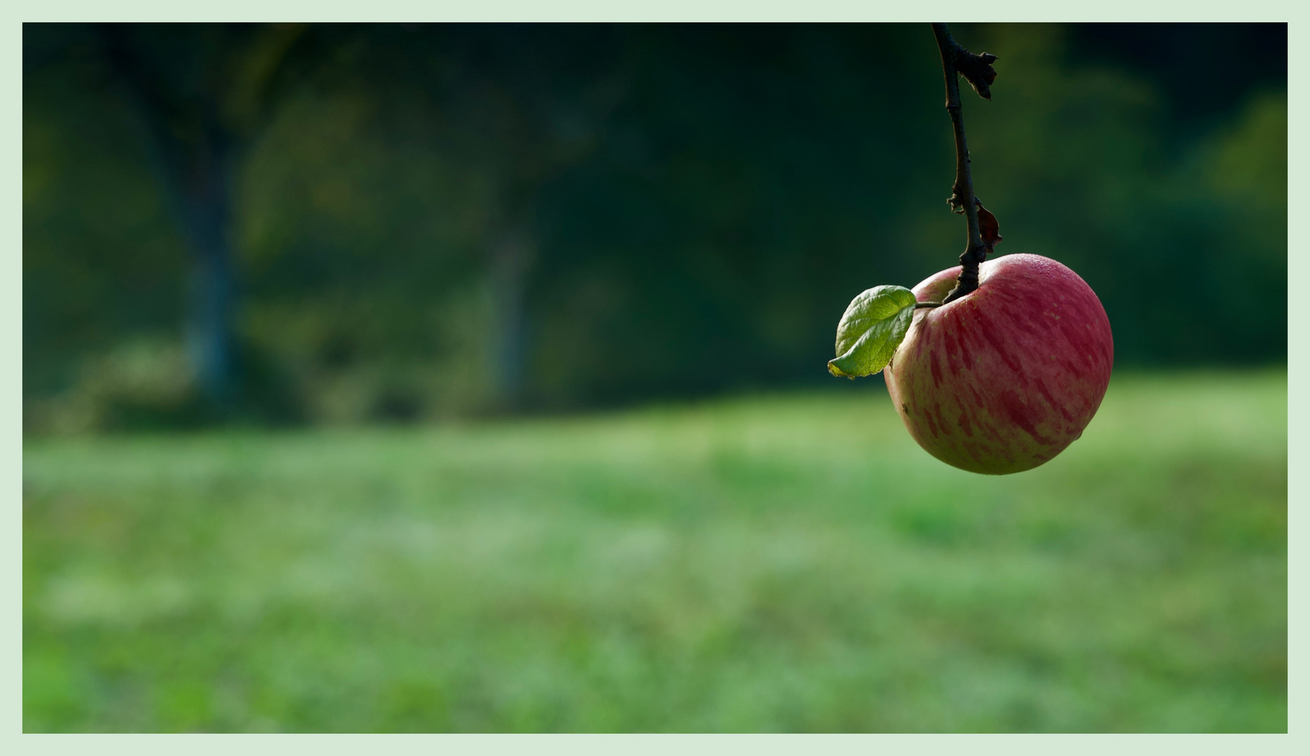 An apple a day ...