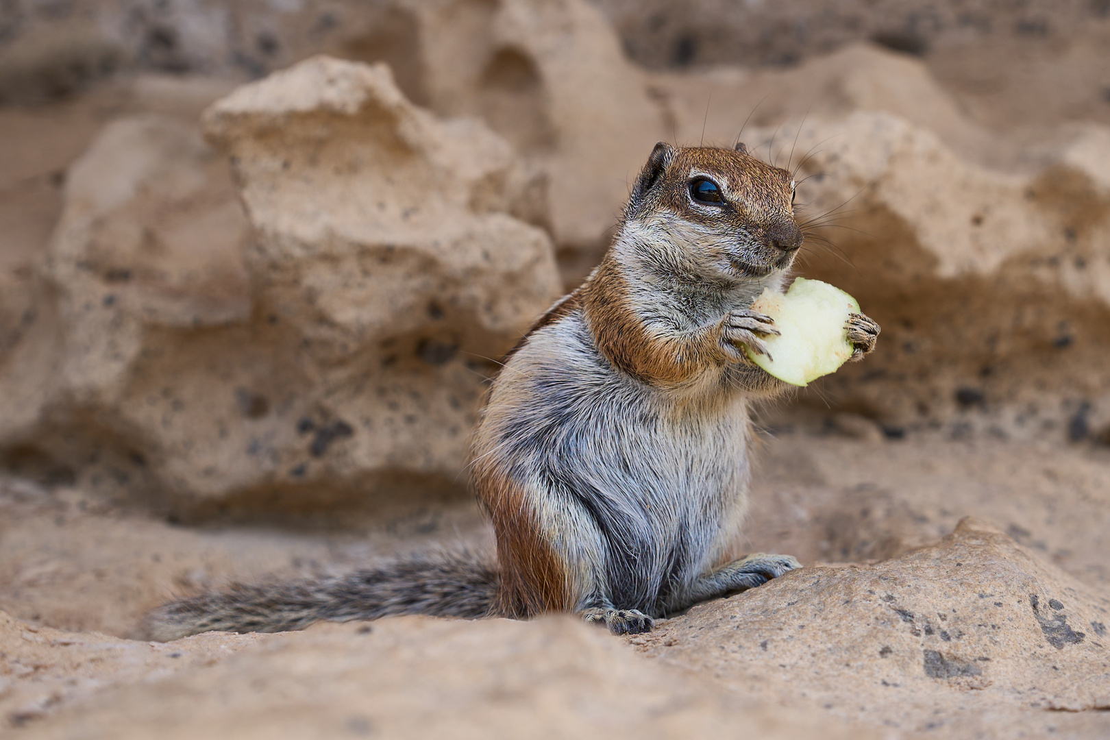 An apple a day ..