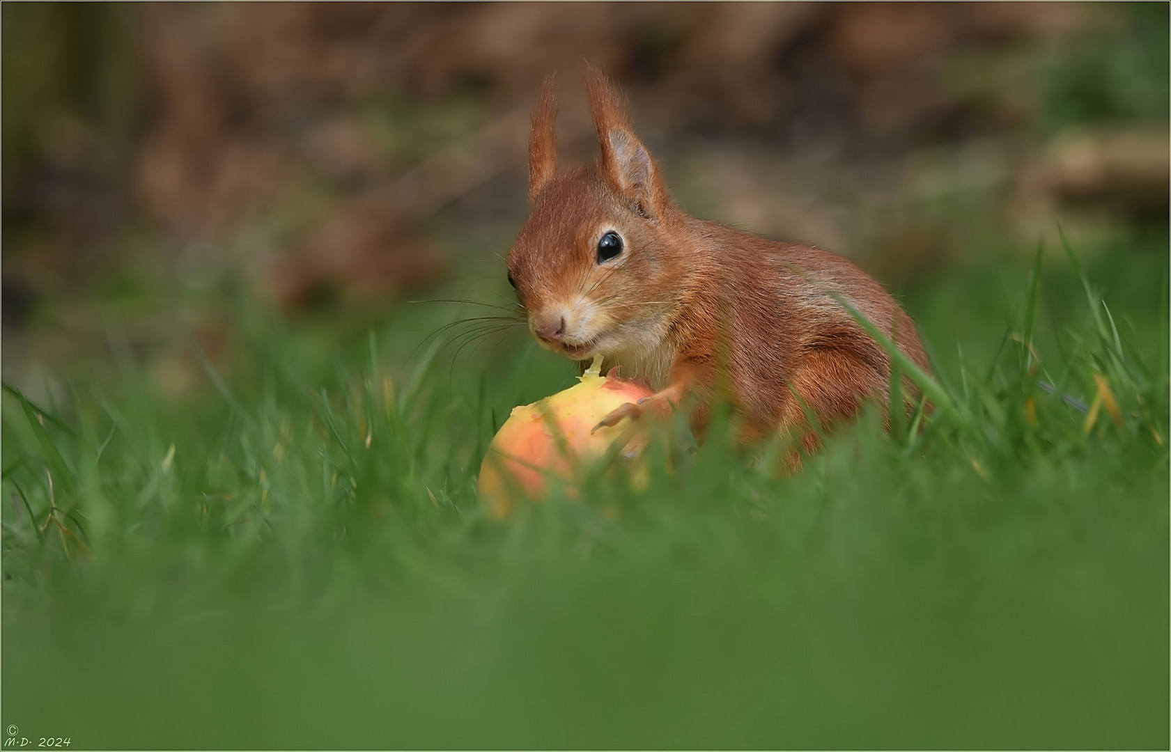 An apple a day keeps the doctor away ! ;-)