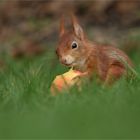 An apple a day keeps the doctor away ! ;-)