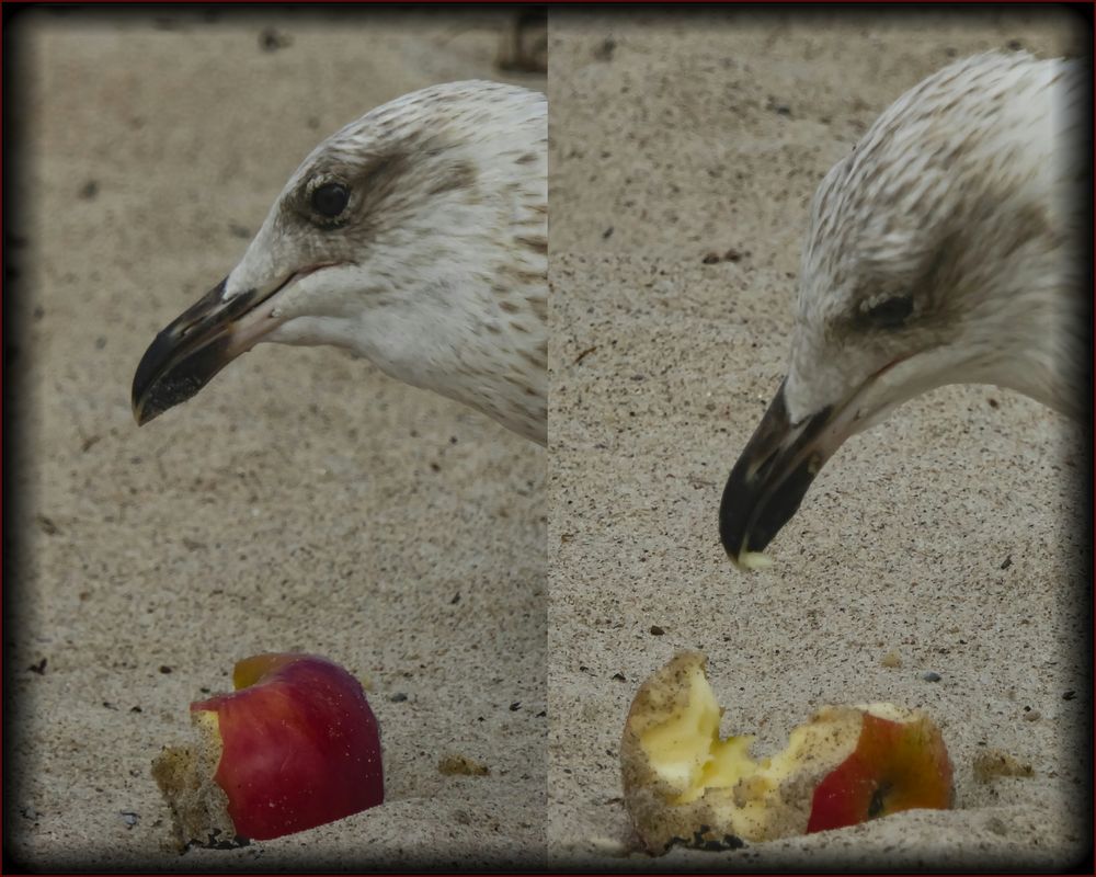 an apple a day keeps the doctor away