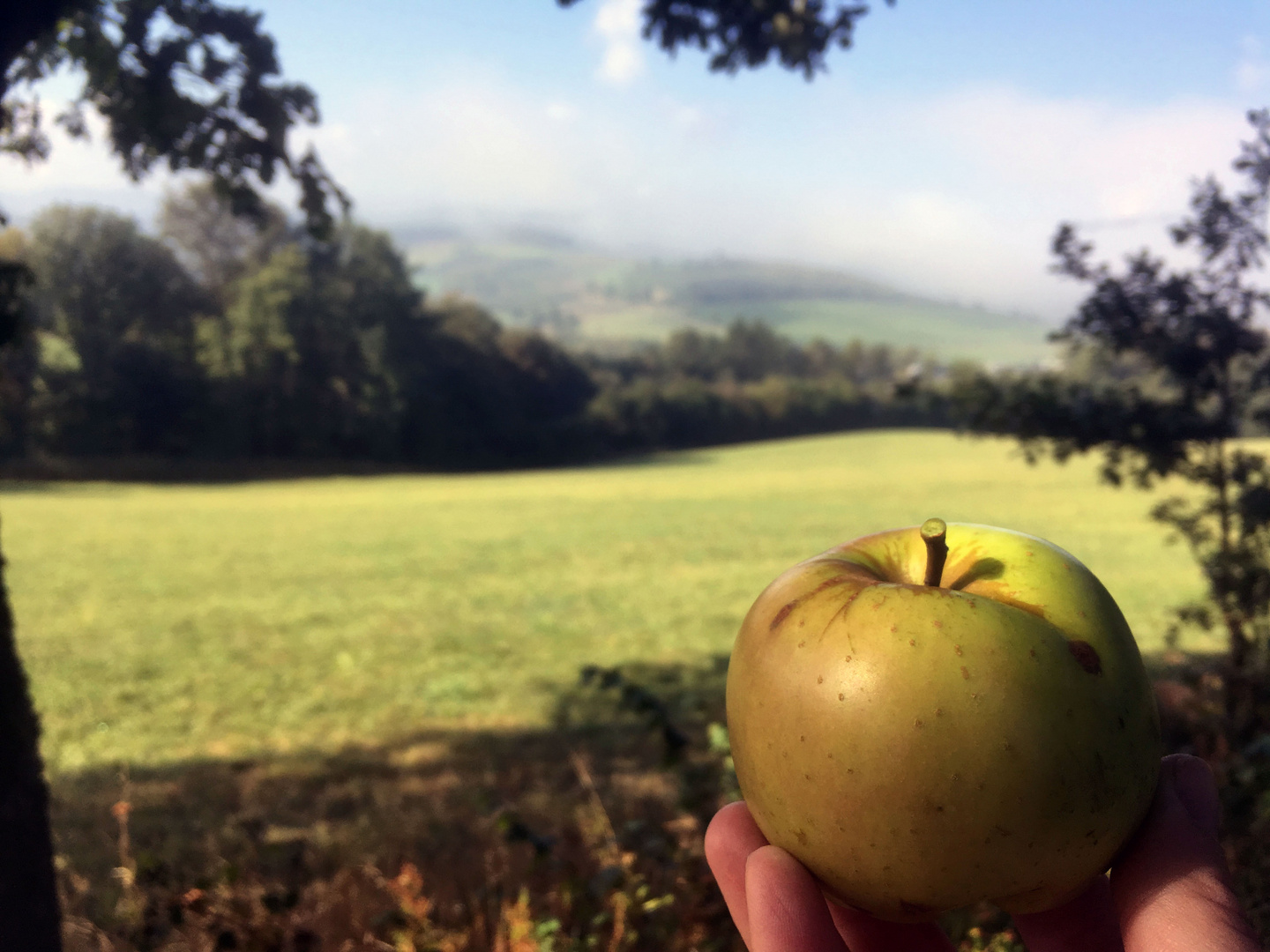 An Apple a day......besonders jetzt.