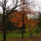 An Autumn Walk