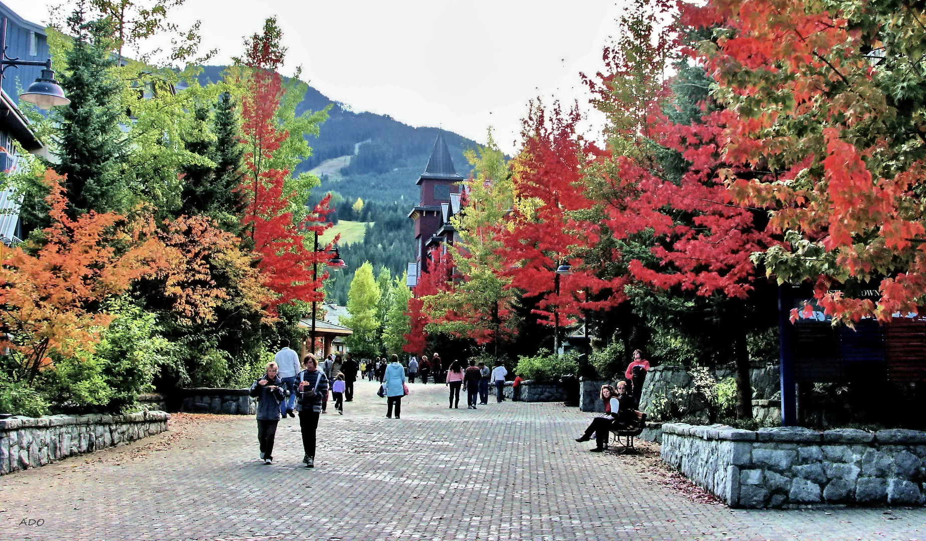 An Autumn Walk Through Whistler