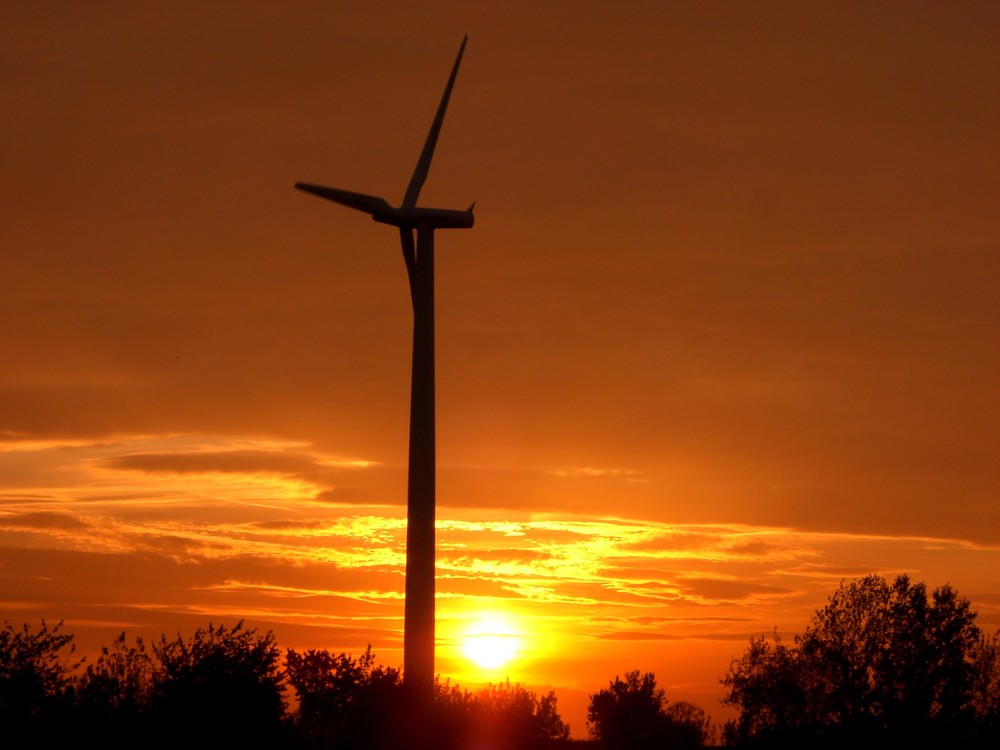 AN Bonus(Siemens) Windpark Trebbichau