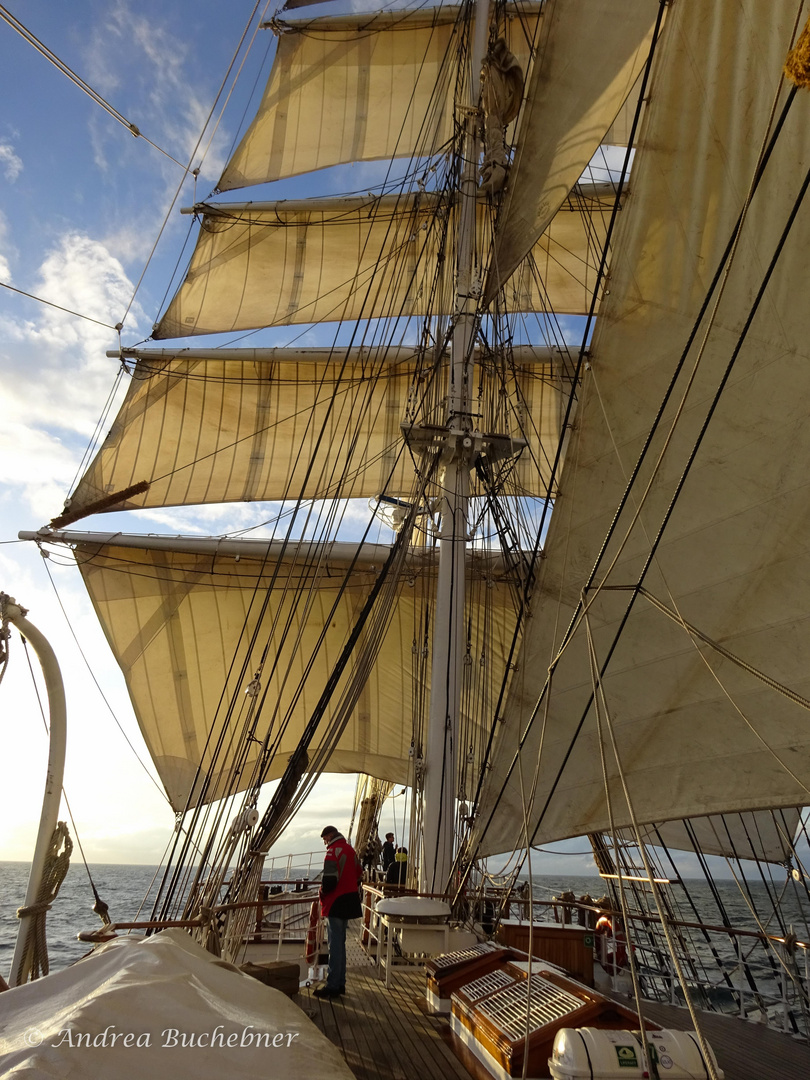 an Bord der Belem