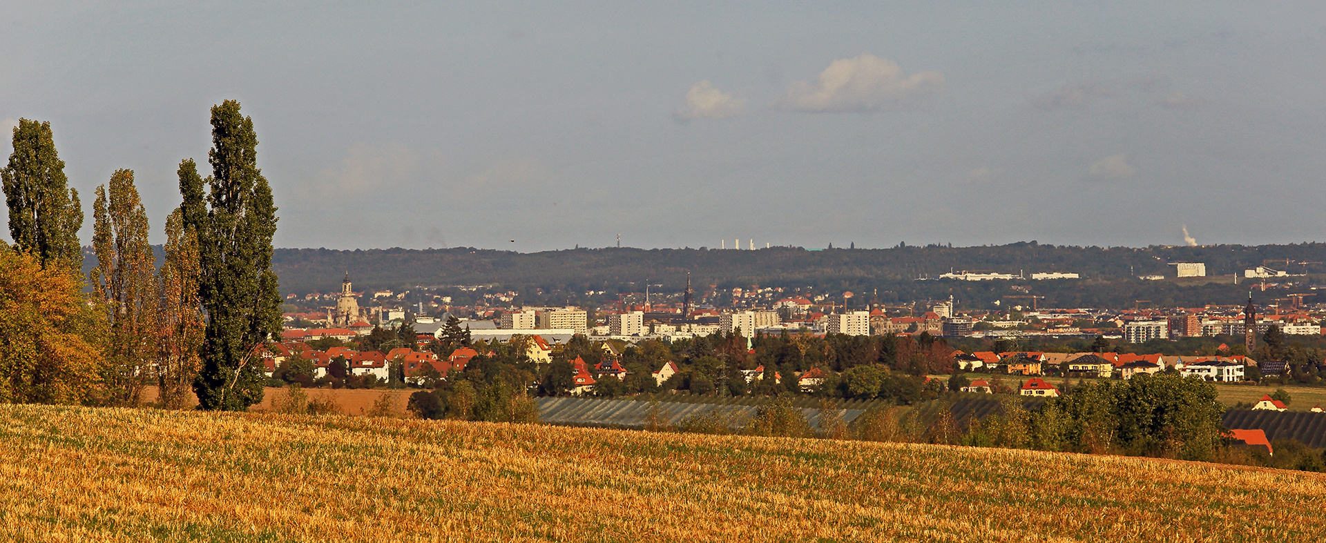 An den Bäumen vorbei geschaut bis ins Zentrum von Dresden...