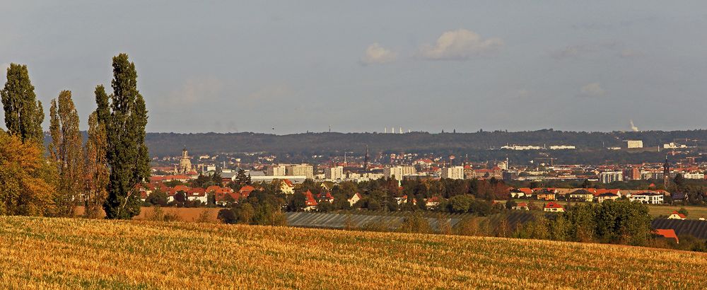 An den Bäumen vorbei geschaut bis ins Zentrum von Dresden...