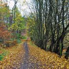 An den Benther Berg - Terrassen