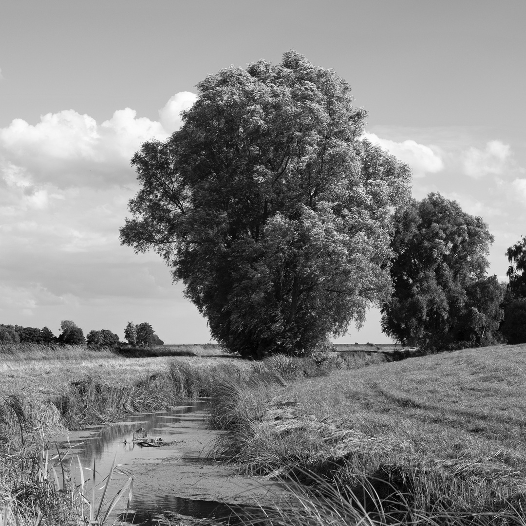 An den Bornhorster Seen