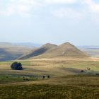 ...AN DEN BUSEN DES CANTAL...