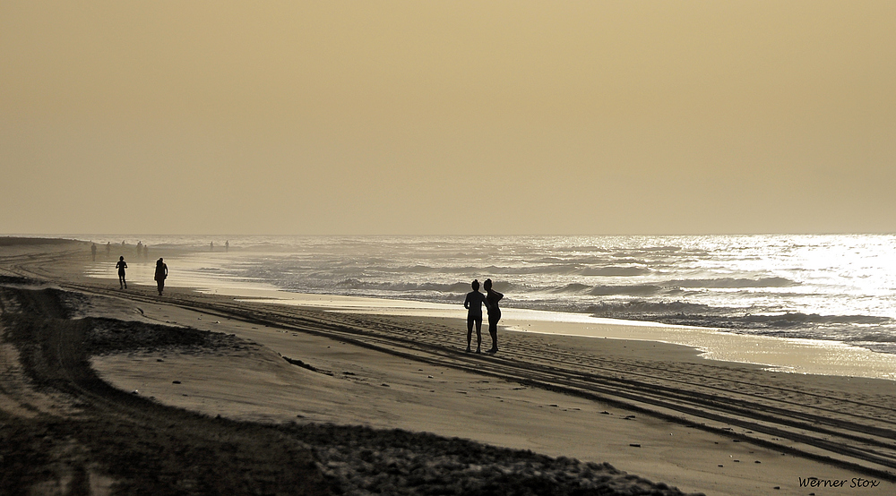 ... an den Dünen von Maspalomas