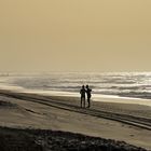 ... an den Dünen von Maspalomas