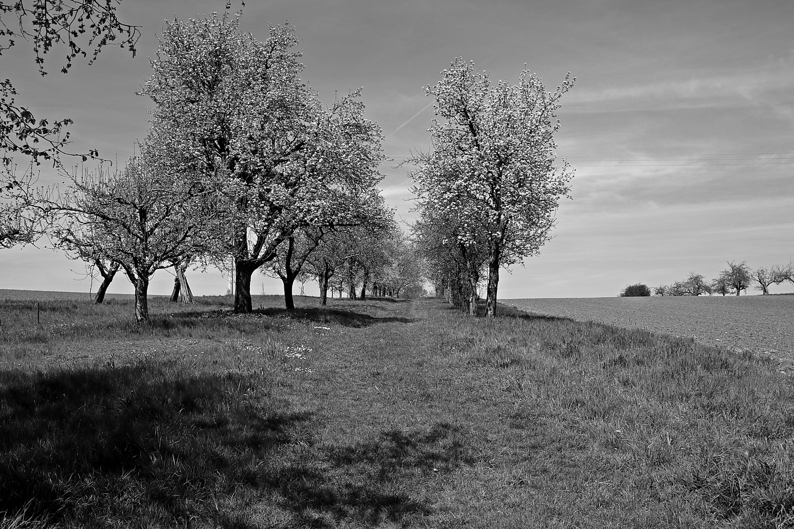 An den Feldern bei Reicheneck