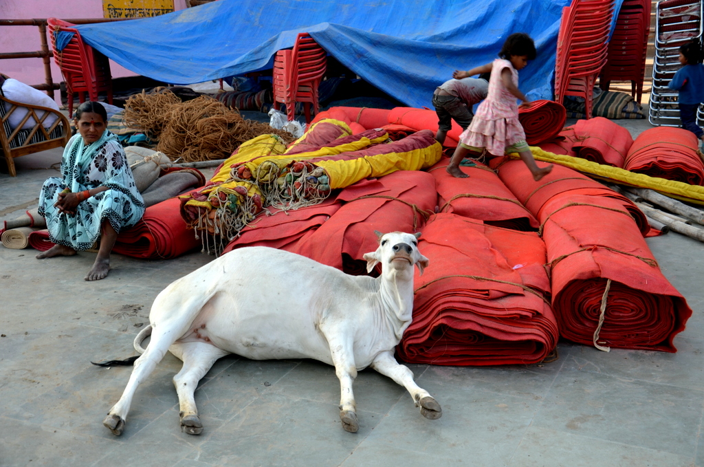 An den Ghats von Varanasi