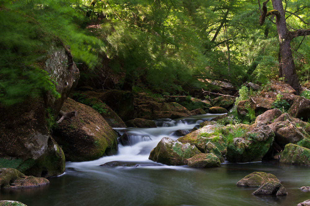 An den "Irreler Wasserfällen"