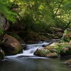 An den "Irreler Wasserfällen"