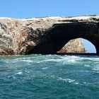 An den Islas Ballestas vor der Halbinsel Paracas (1)