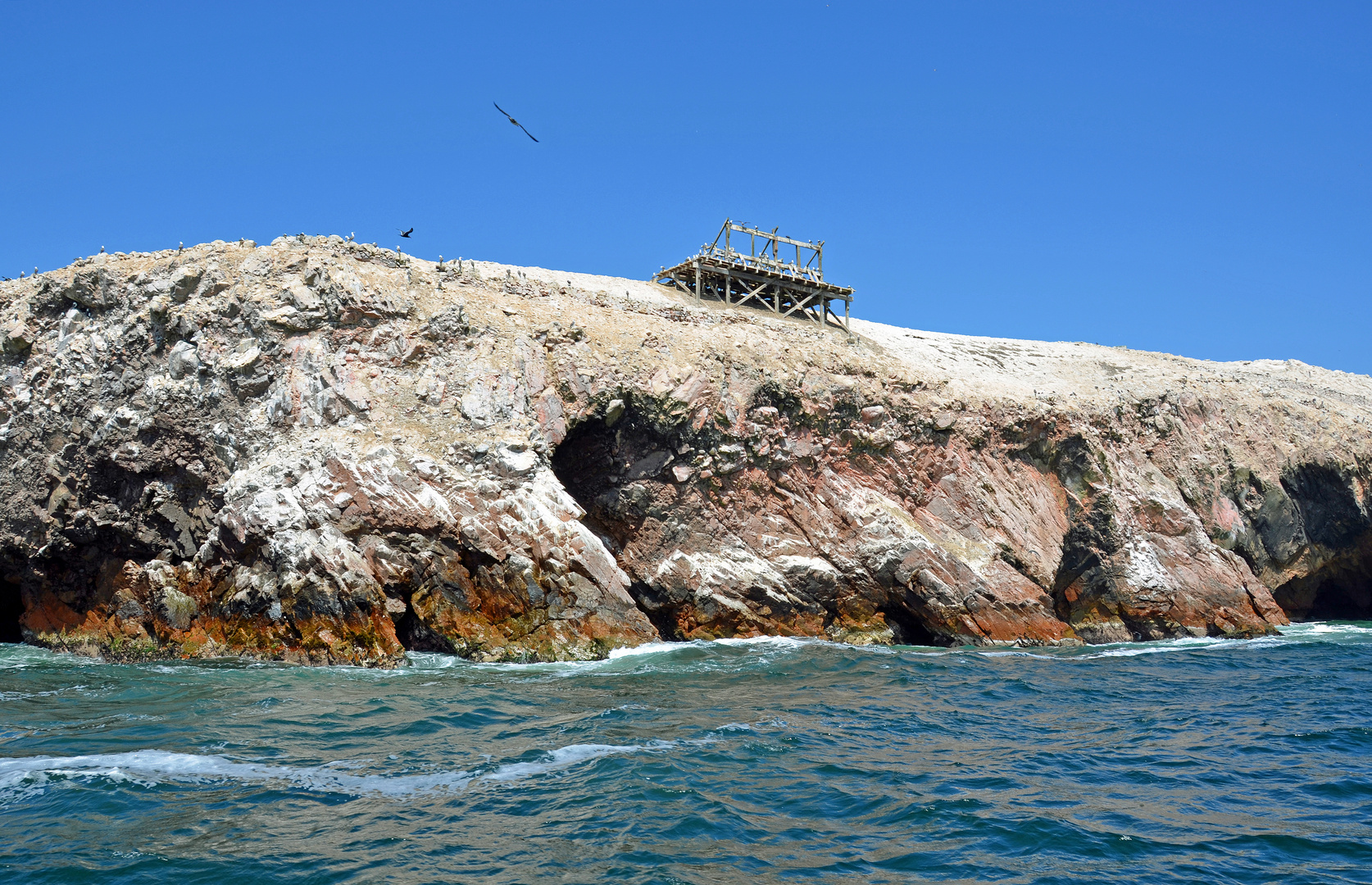 An den Islas Ballestas vor der Halbinsel Paracas (2)