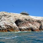 An den Islas Ballestas vor der Halbinsel Paracas (2)