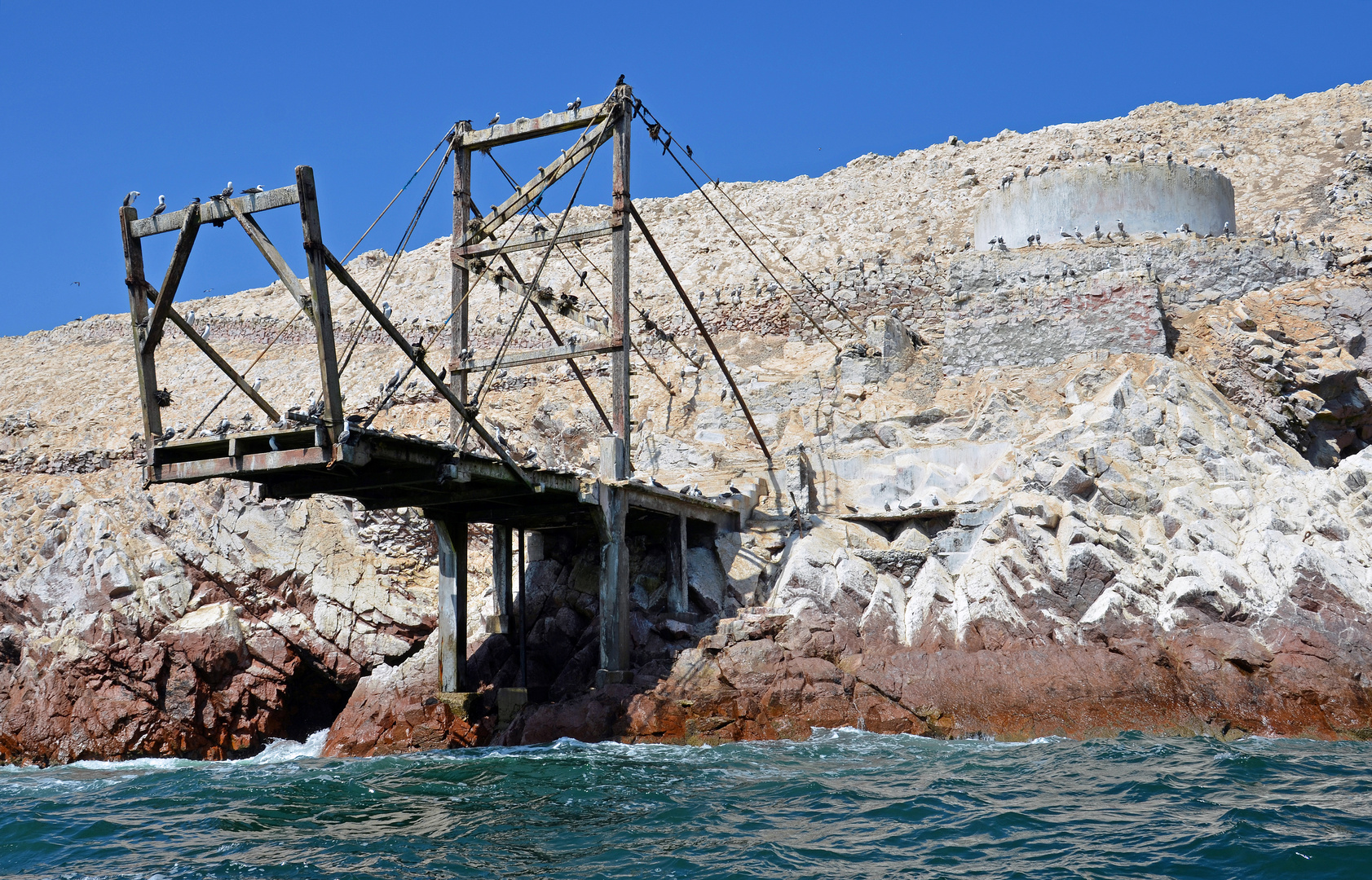 An den Islas Ballestas vor der Halbinsel Paracas (3)