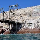 An den Islas Ballestas vor der Halbinsel Paracas (3)