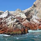 An den Islas Ballestas vor der Halbinsel Paracas (4).