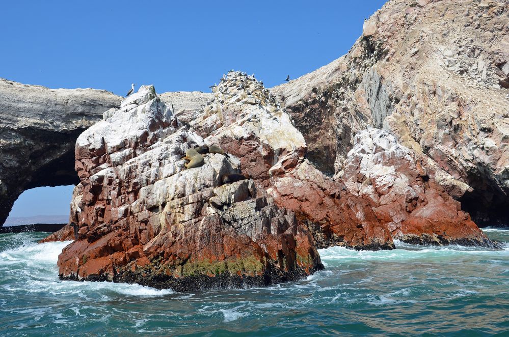 An den Islas Ballestas vor der Halbinsel Paracas (4).