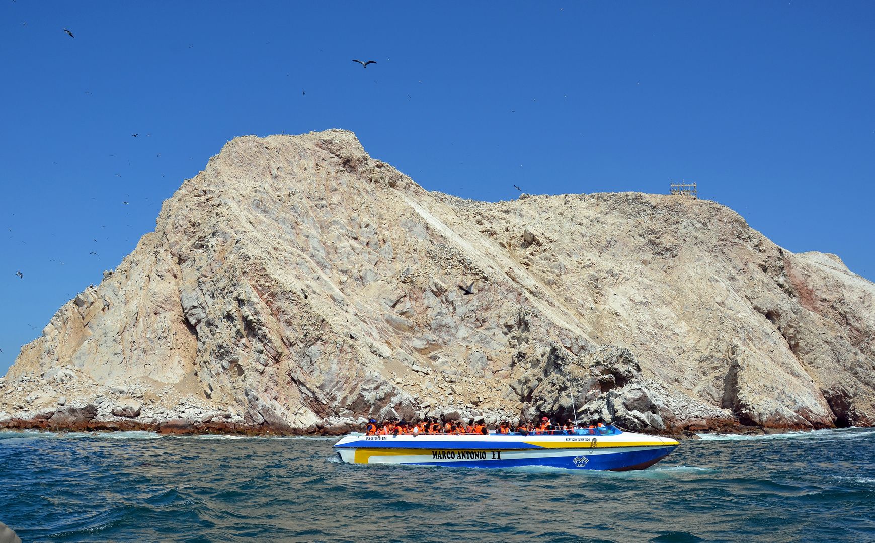 An den Islas Ballestas vor der Halbinsel Paracas (5)