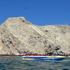 An den Islas Ballestas vor der Halbinsel Paracas (5)