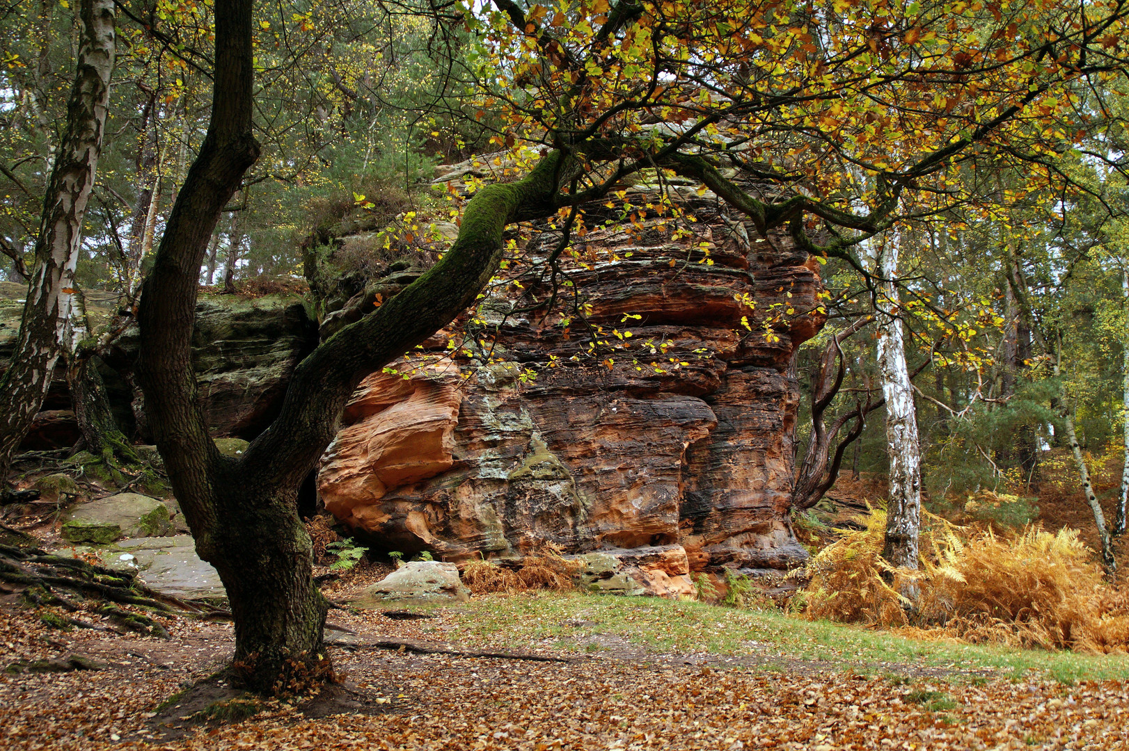 An den Katzensteinen 5