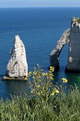 an den Klippen von Etretat