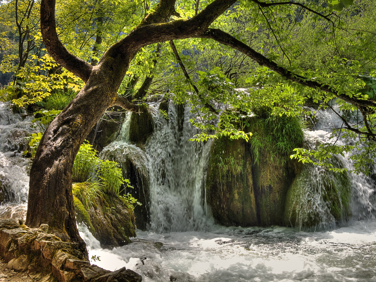 an den Plitvicer Wasserfällen