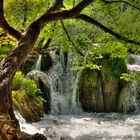 an den Plitvicer Wasserfällen