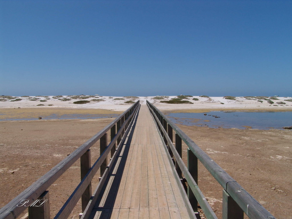 An den schönsten Strand