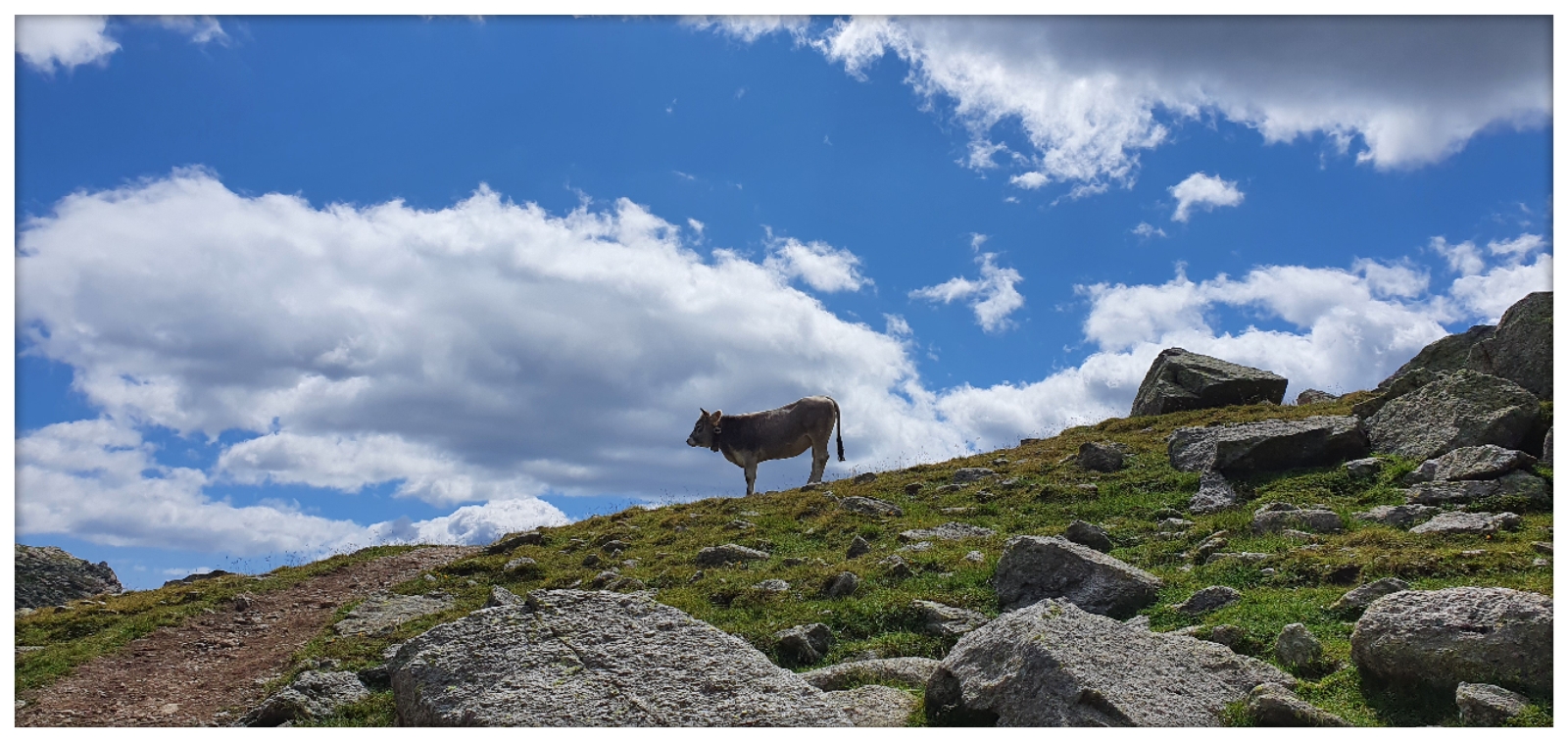 An den Spronser Seen