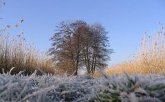 An den Teichen im Winter