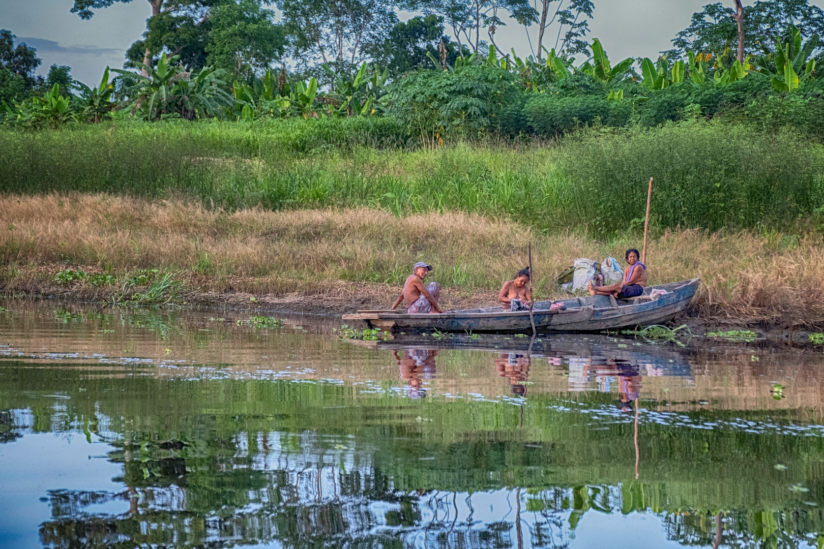 an den Ufern des Amazonas VII