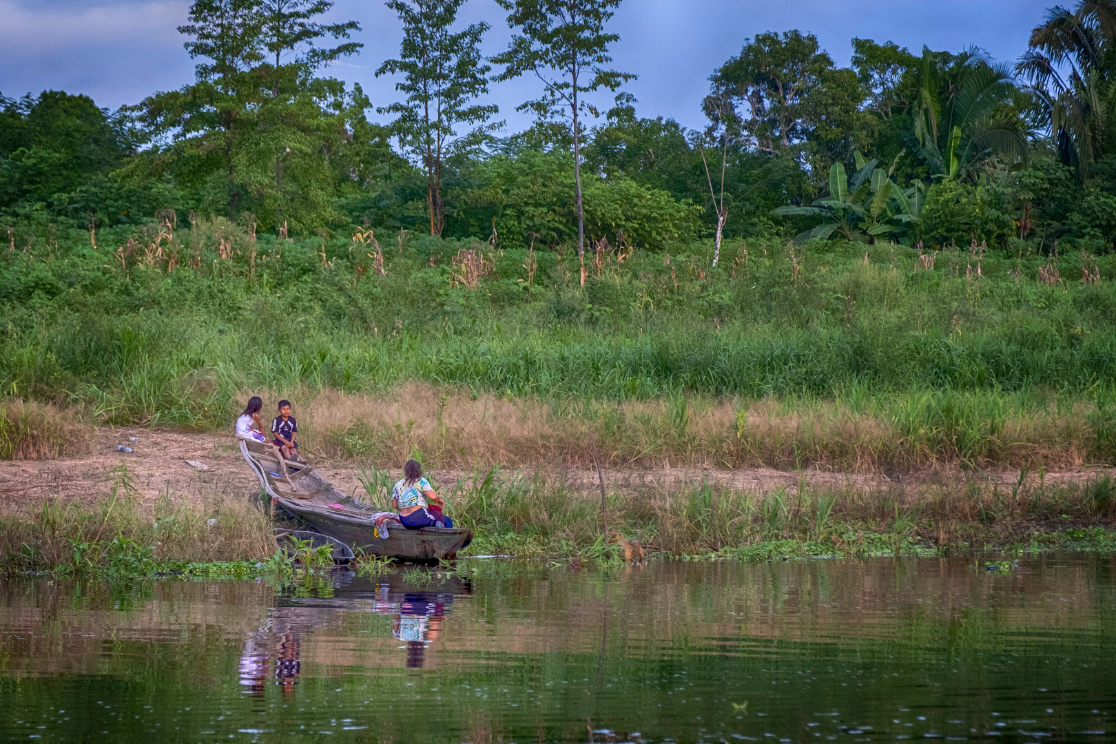 an den Ufern des Amazonas VIII