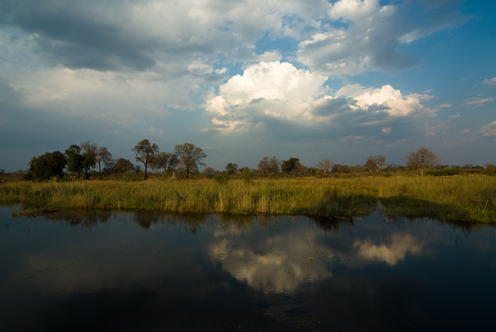 An den Ufern des Kwando Flusses