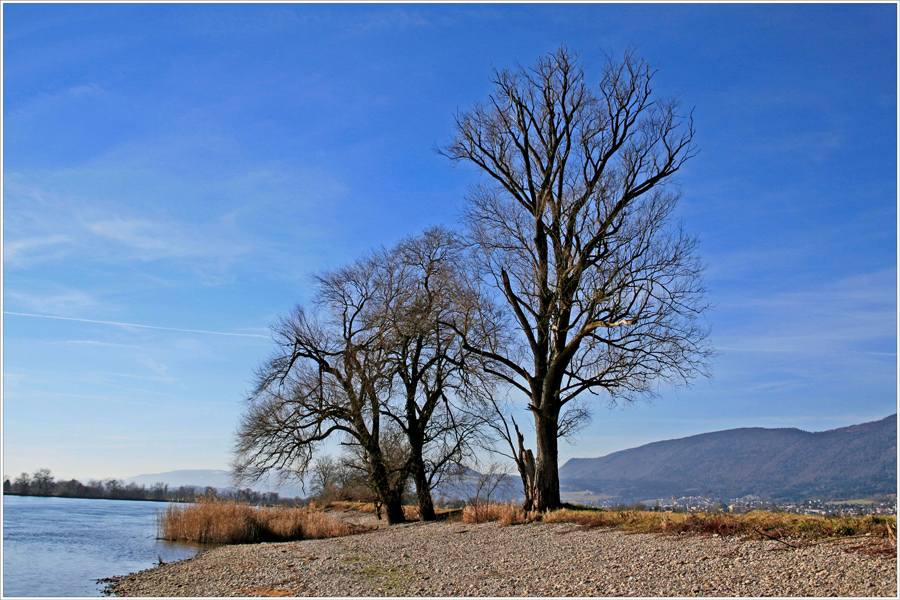 An der Aare