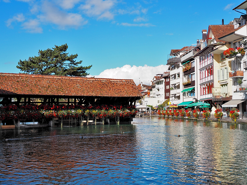 an der Aare in Thun.